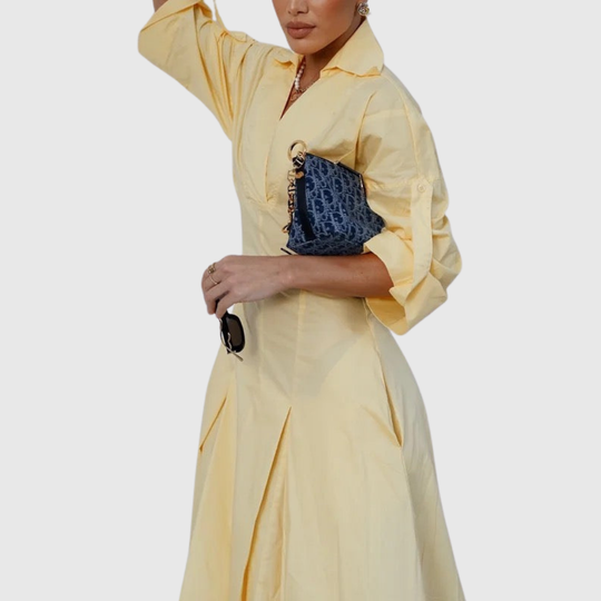 Mevelyn | High-Waisted Pleated V-Neck Maxi Shirt Dress